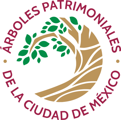 Árboles Patrimoniales de la Ciudad de México