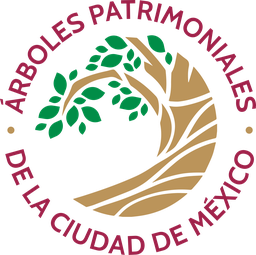 Árboles Patrimoniales de la Ciudad de México